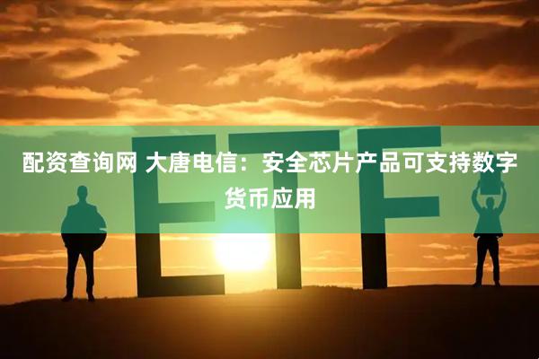 配资查询网 大唐电信：安全芯片产品可支持数字货币应用